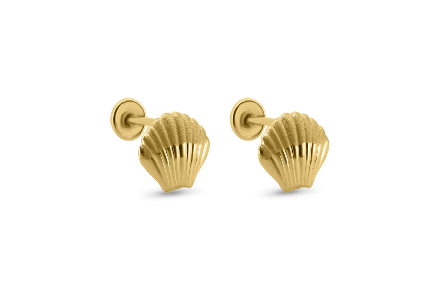 14K Yellow Gold Seashell Screw Back Earrings