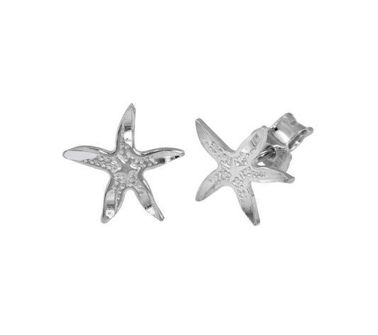 Starfish Earrings