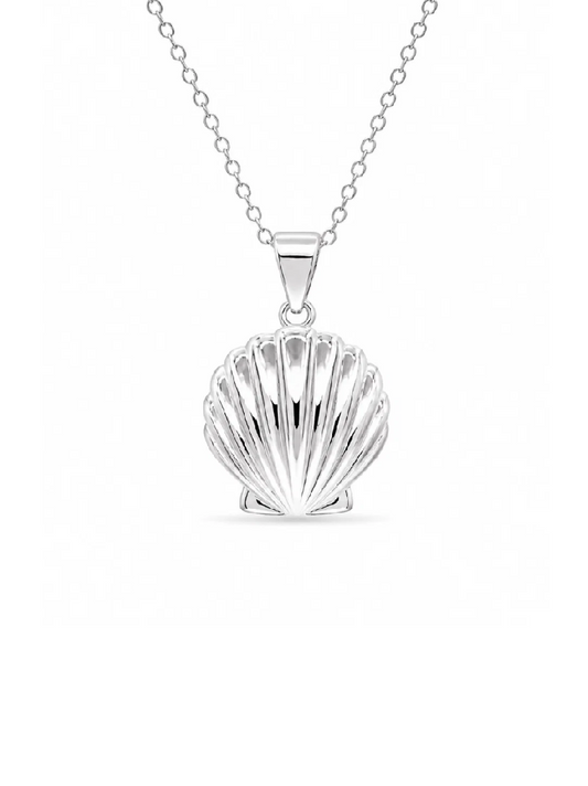 Clam Shell Necklace